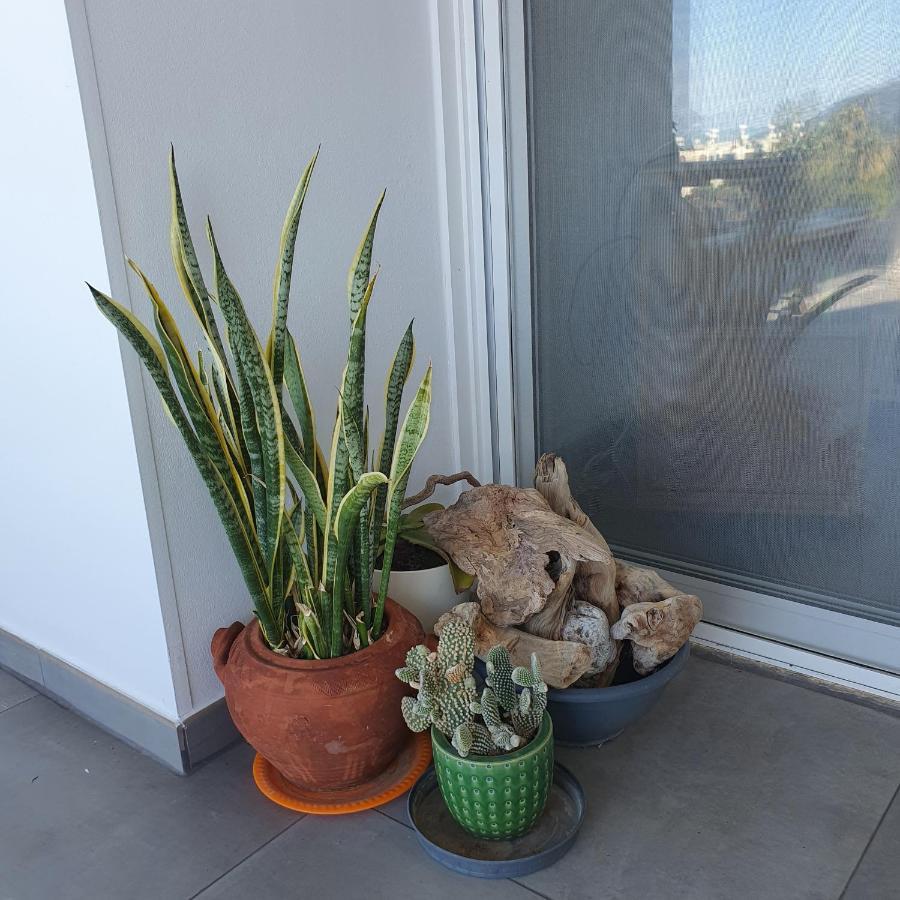 Latchi Ithaki, 2 Bedroom Penthouse Εξωτερικό φωτογραφία